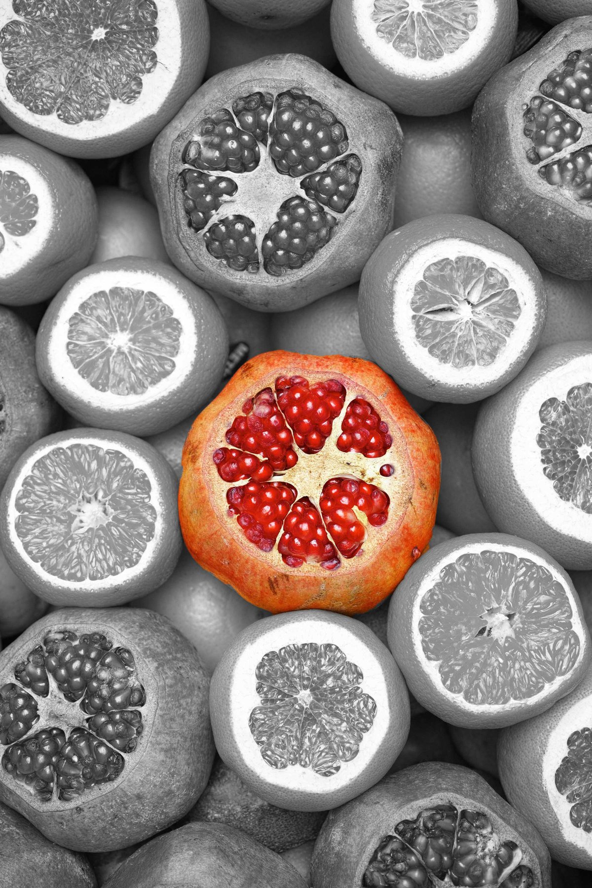 picture of fruit black and white